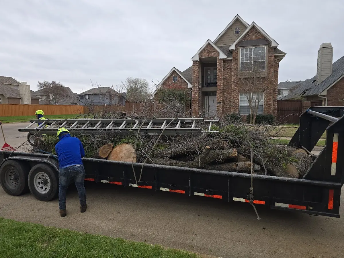 Expert Tree Removal with proper safety equipment in Braggadocio